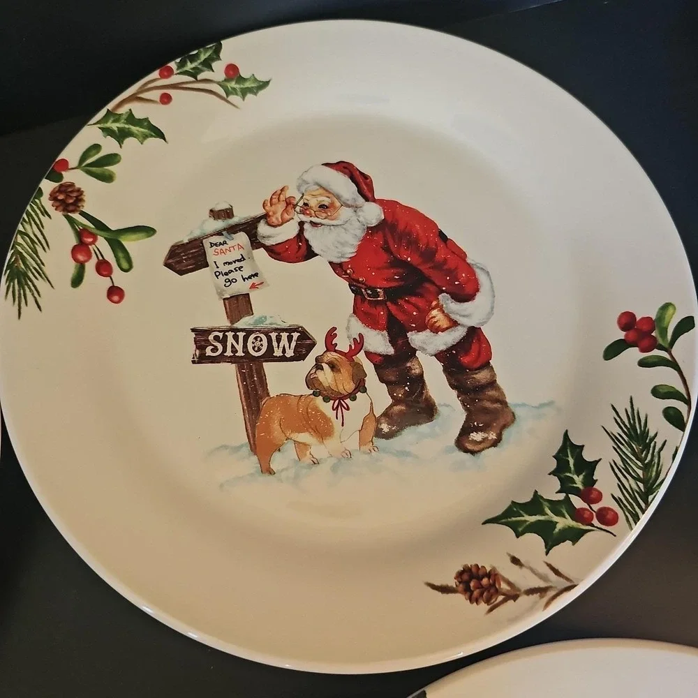 4 Assorted Pier 1 Winter Wonders Ironstone 8 3/4
